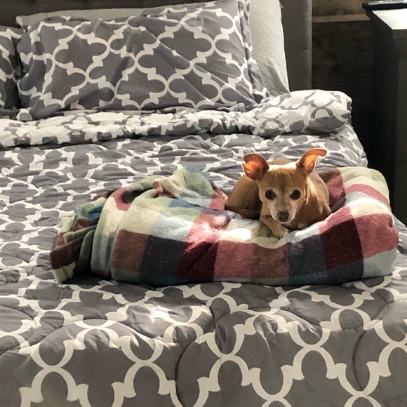 Welcome! ♥️ - Picture 3 of 4